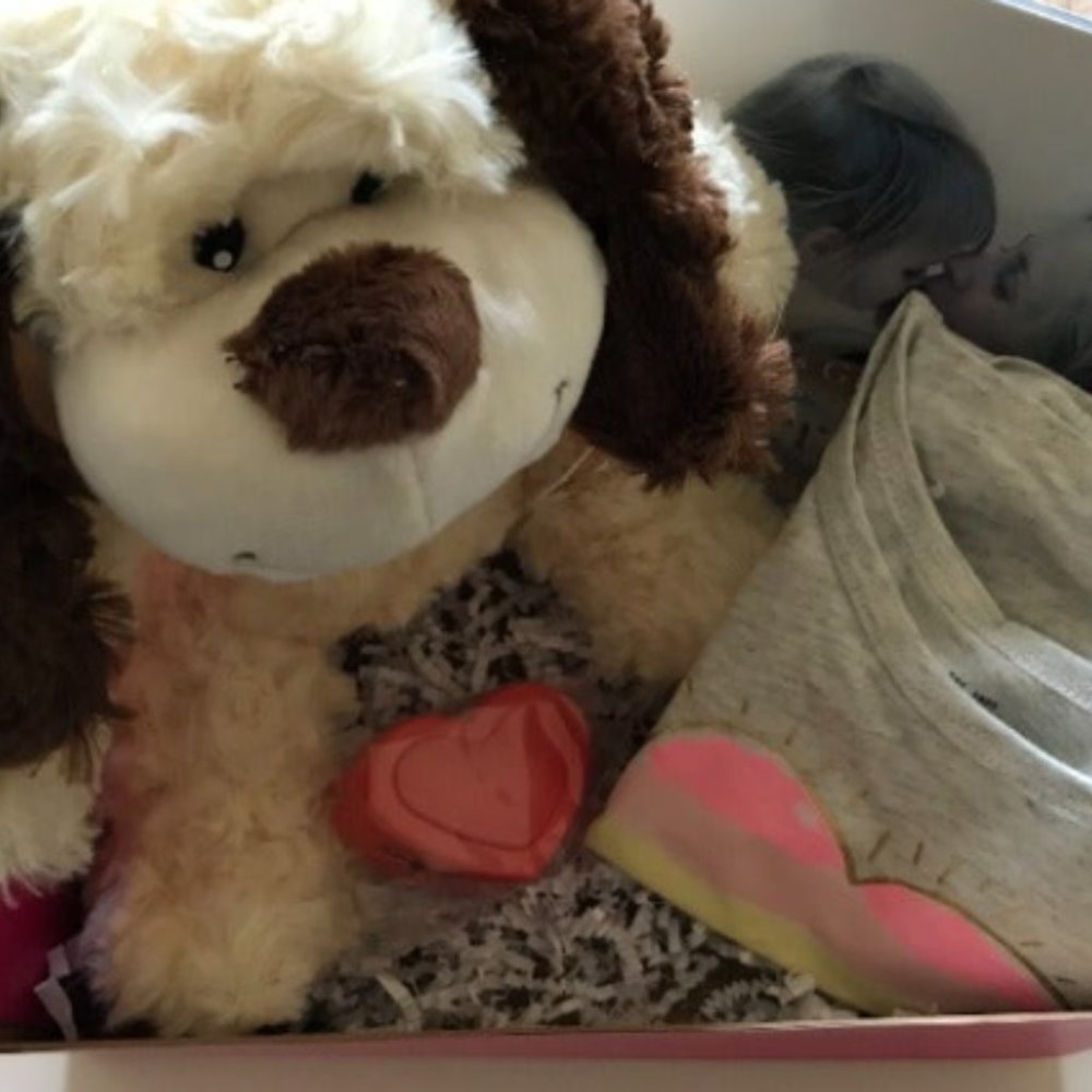 Baby box set with Teddy dog heartbeat, shirt, and